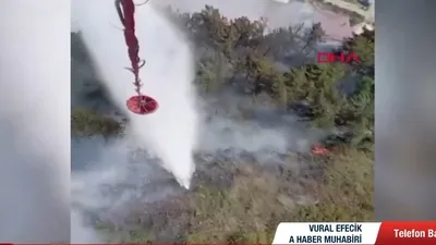 Muğla Marmaris’te orman yangını