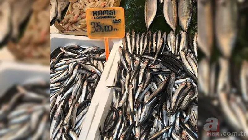 Uzmanlardan hamsi uyarısı! "1 yıl avlanmasın..." 8