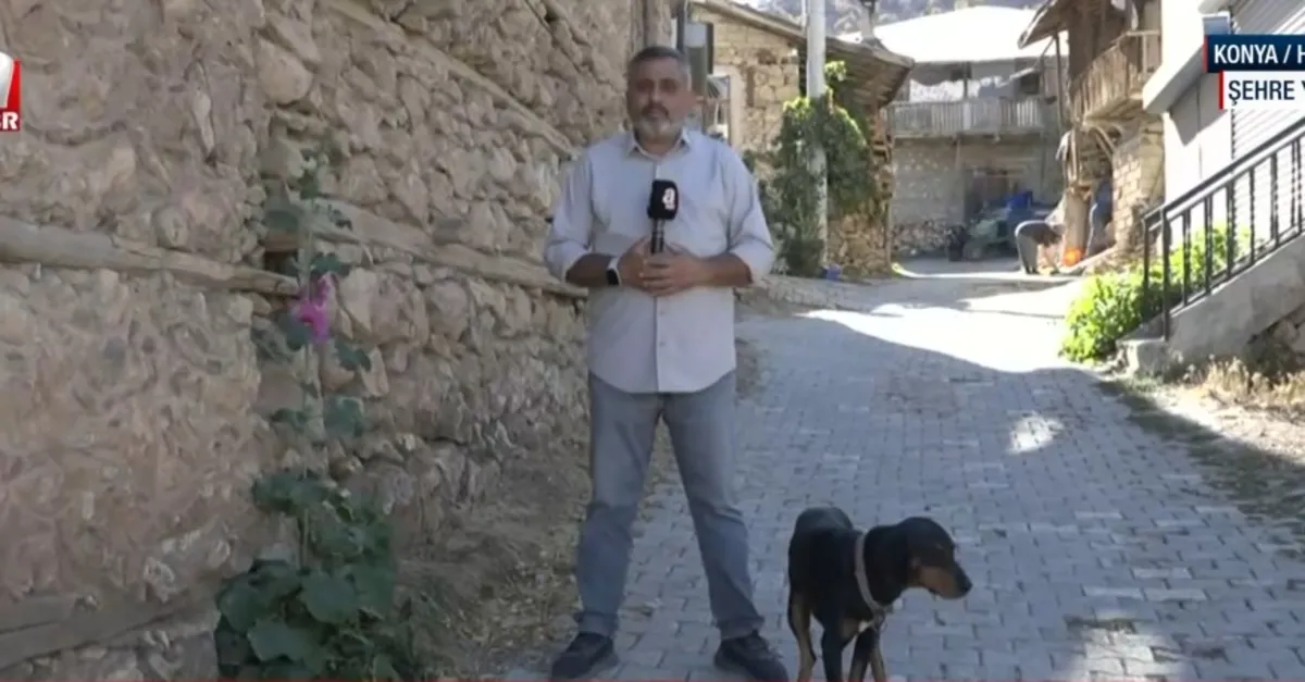 Şehre Yakın Gaziler Mahallesi’nde