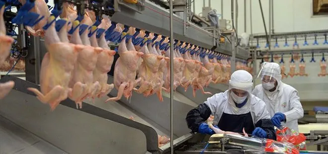 Son dakika | Ticaret Bakanlığı neşteri vurdu! Kanatlı et ihracatına sınırlama