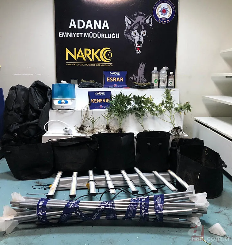 Yatak odasını seraya çevirdi! İfadesi pes dedirtti 9