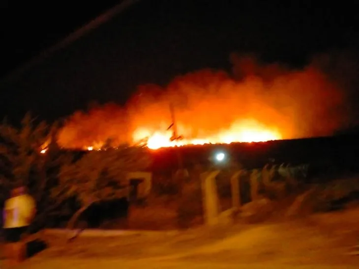 İzmir Çeşme’de Ulusoy Limanı yakınında orman yangını! Bir kişi gözaltında