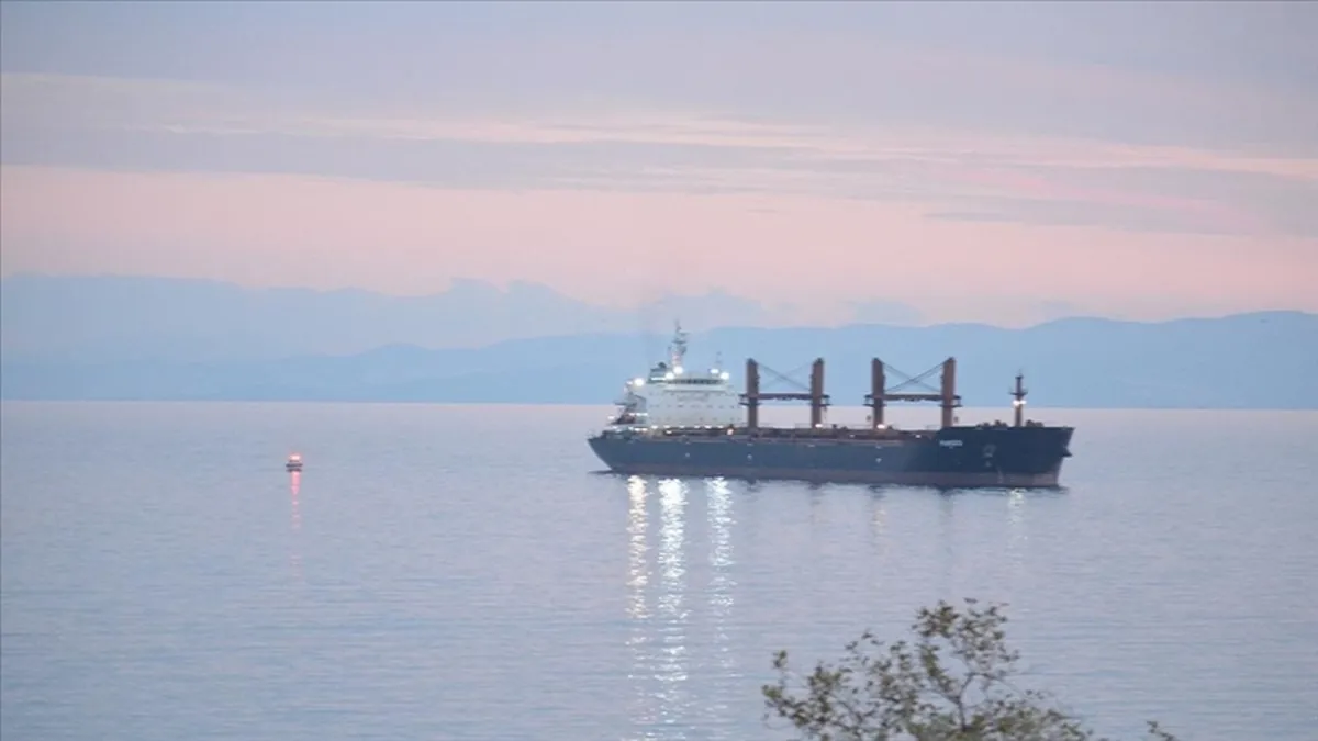 Tekirdağ'da kuru yük gemisi karaya oturdu