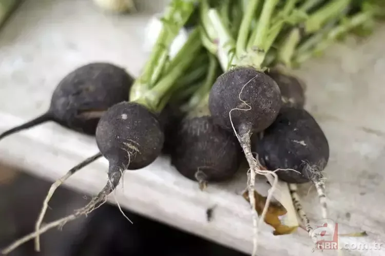 Babaanne ilacından 1 kaşık yiyen 10 yıl öksürmüyor! 7