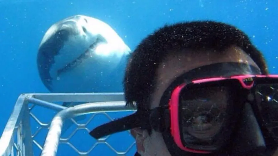 Selfie uğruna bunu da yaptılar!