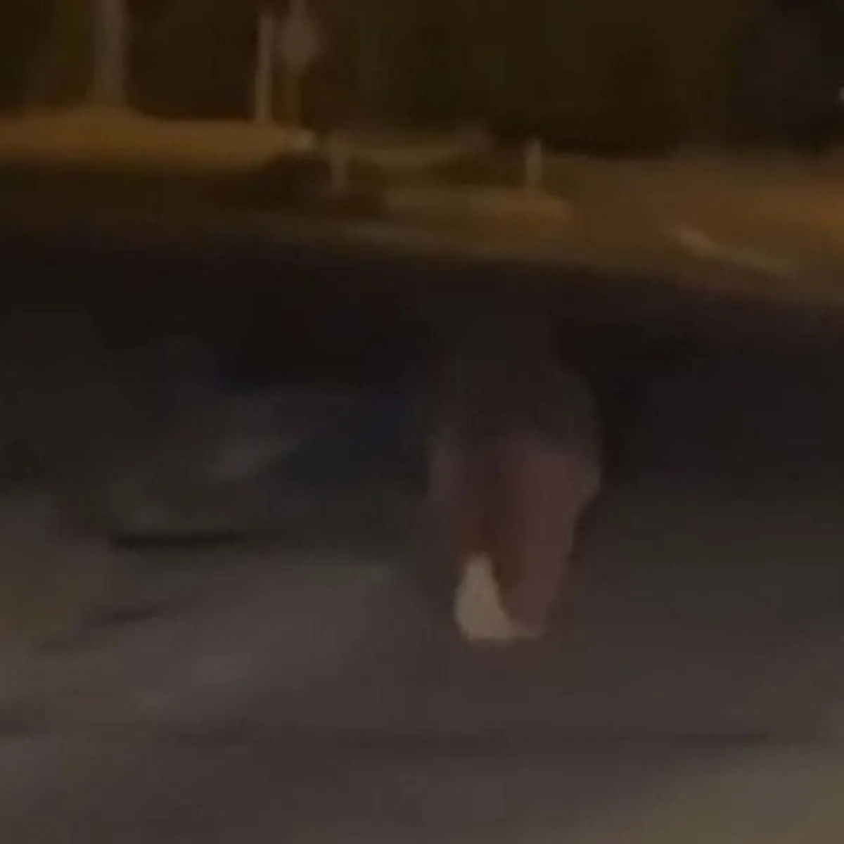 İzmir’de akılalmaz ayı saldırısı! Balkondan alıp 20 metre sürükledi