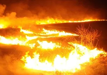 YPG/PKK Tel Rıfat'ta sivillerin arazilerini yaktı