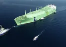 Cezayirden yola çıkmıştı! Türkiyeye ulaştı