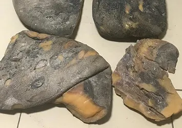 Mersin'de balina kusmuğu operasyonu