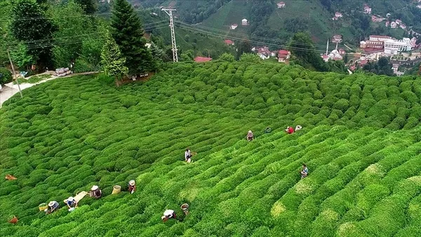 Doğu Karadeniz'den yılın dört ayında 465 milyon dolarlık ihracat yapıldı - 1