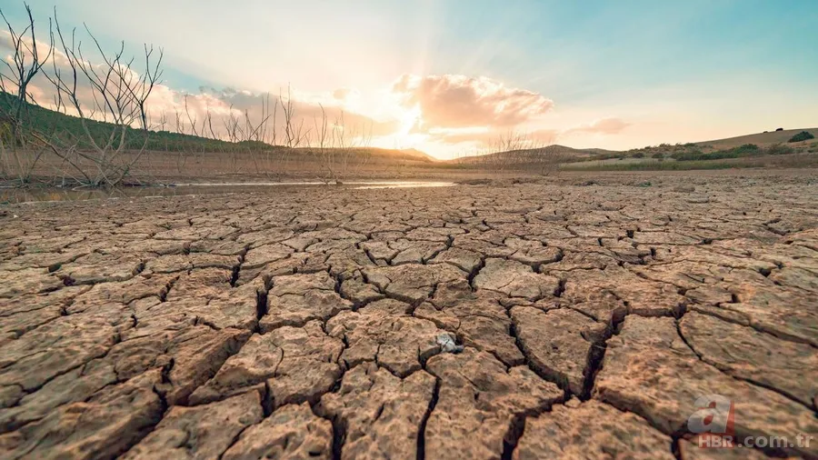 El Nino tehlikesi büyüyor: 1 derece artış bile öldürebilir 4