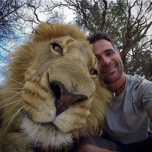 Hayvanlarla selfie!