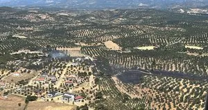 Balıkesir’deki yangında 350 dönüm alan zarar gördü