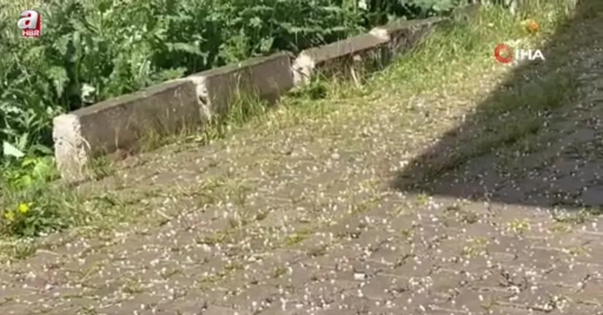 Diyadin'de dolu yağışı