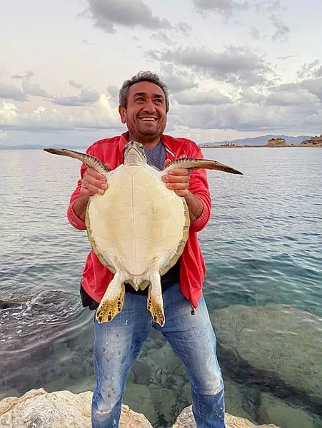 Balık tutan vatandaşlar kayaların arasında buldu! Caretta caretta deniz kaplumbağası...