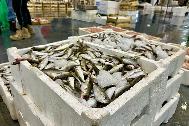 2025-balik-avi-yasagi-tarihleri-balik-avi-yasagi-ne-zaman-hangi-tarihte-basliyor-1744528702870.jpg A Haber Foto Arşiv