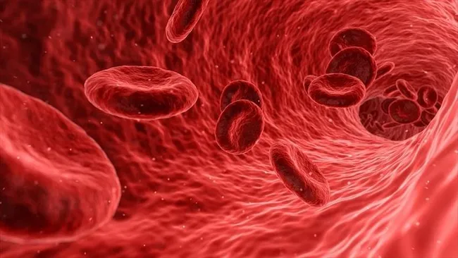Türk mühendisleri geliştirdi! Kan sonucunu 5 dakikada öğreneceksiniz - 5