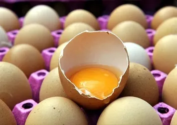 Araştırmayla kanıtlandı! Kolesterolü yükseltmiyor aksine düşürüyor!