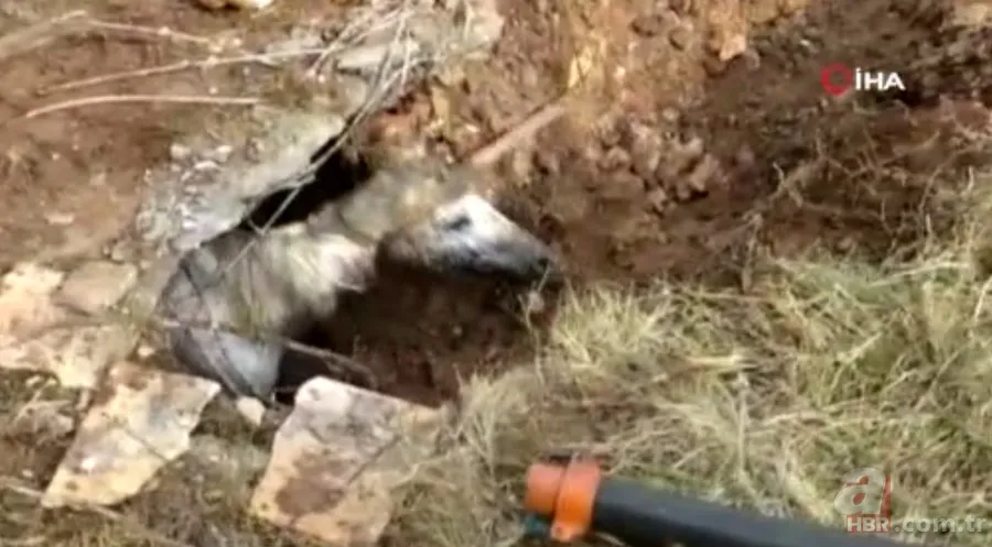 Yer altından gelen garip sesler ekipleri harekete geçirdi! Kanalizasyondan çıkan şoke etti 19