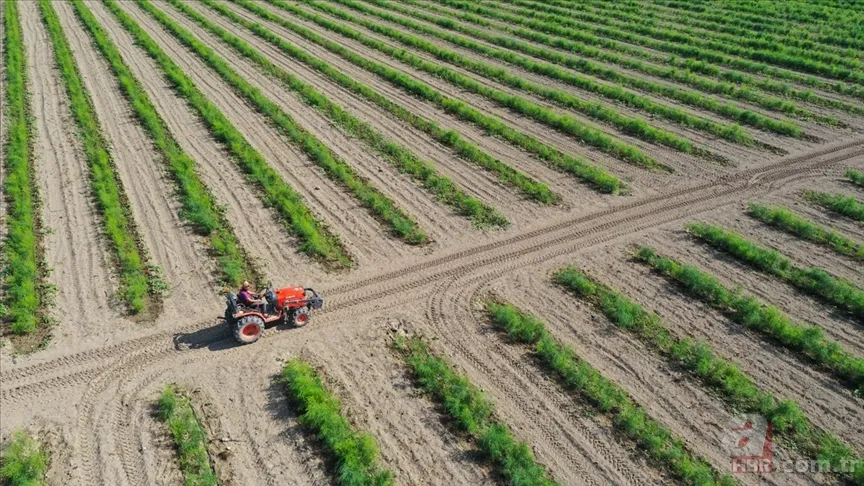 Müjde son dakika duyuruldu! Çiftçilere 5000 TL ikramiye verilecek mi? ÇKS belgesi olanlar ikramiye alacak mı? 5