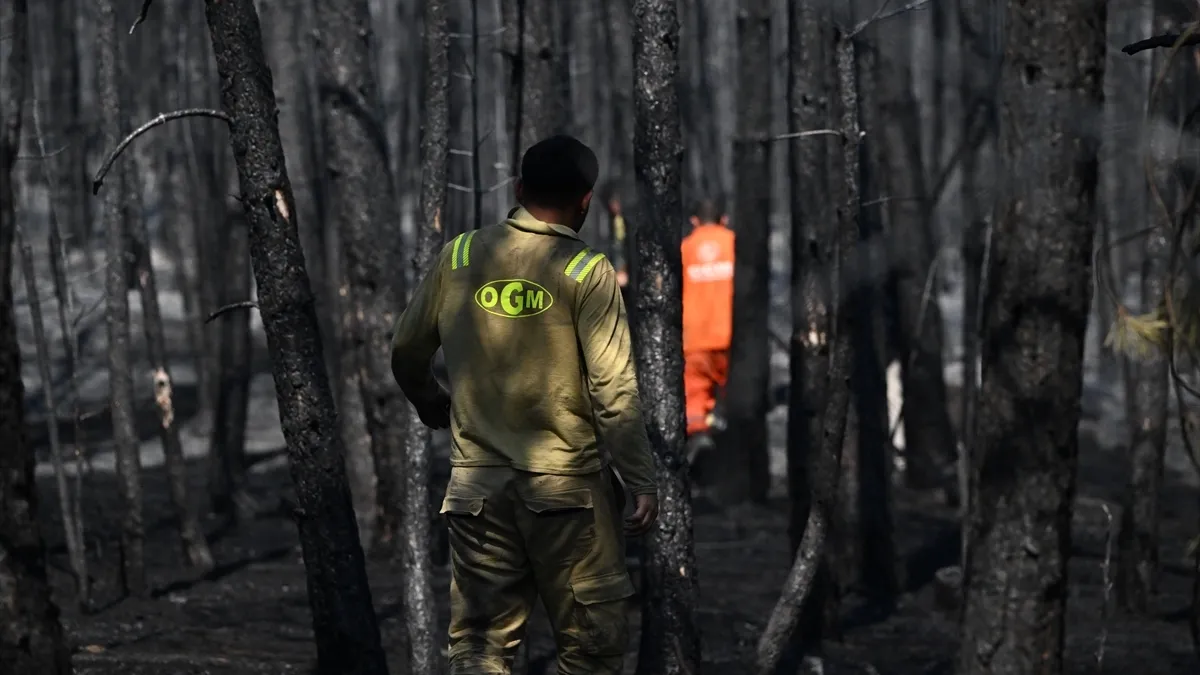 Bir yılda 5 binden fazla yangınla mücadele! Orman Genel Müdürlüğü açıkladı