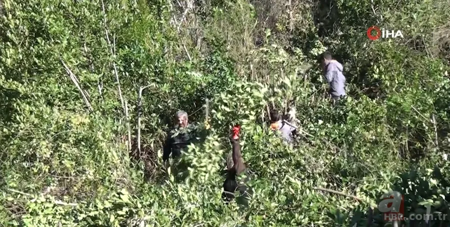 Kendiliğinden yetişiyor 100 aileye gelir kaynağı! Amerika ve Avrupa ülkelerine gönderiliyor 1