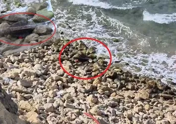 Şile sahilinde şüpheli cisim alarmı! Roket başlığı bulundu