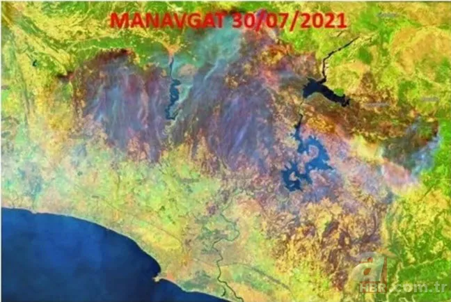 Yürek yakan görüntü! Orman yangınları uydudan böyle görüntülendi 12