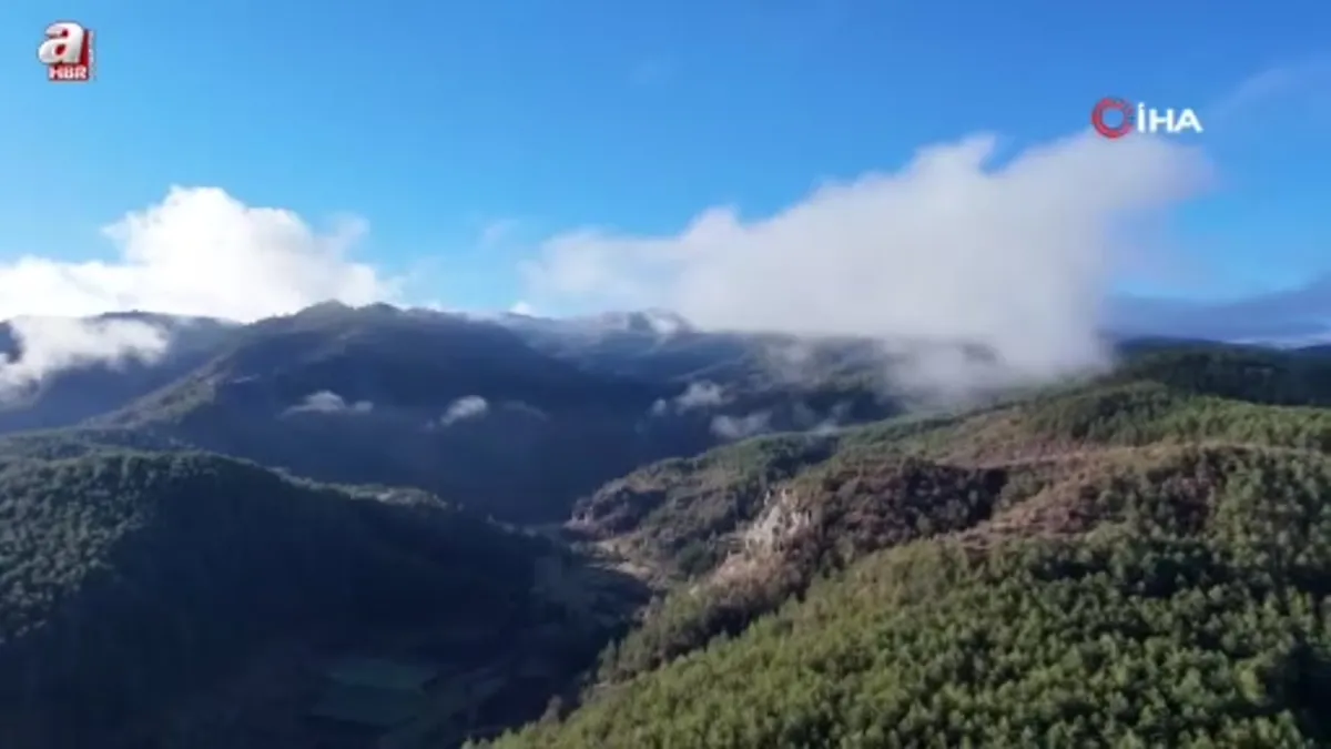 Kastamonu'da sis bulutları ve ormanların buluşması mest etti