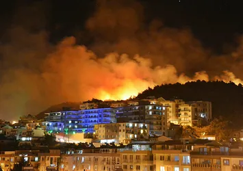 İzmir Dikili'de korkutan yangın