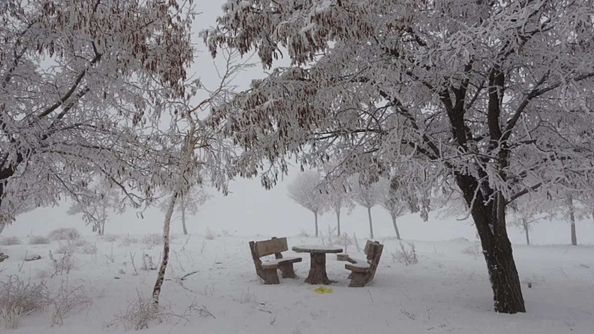 Bitlis'te soğuk hava manzarası hayran bıraktı