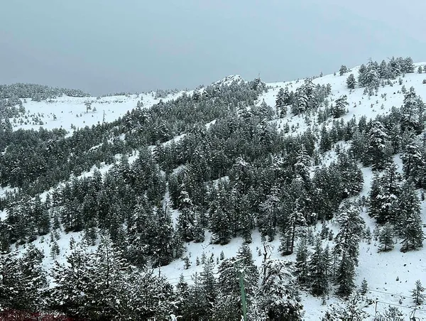 Kar İstanbul'u çevreleyecek! Meteoroloji kar yağacak illeri açıkladı! Gözler o tarihlerde - 1