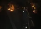 Zeytinlikte korkutan yangın! 200 ağaç küle döndü