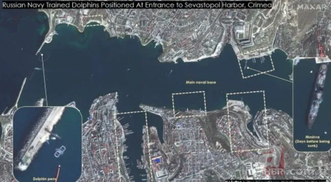 Rusya’nın Karadeniz’deki yunuslardan oluşan ordusunun uydu görüntüleri yayınlandı! Dünya bu kareleri konuşuyor