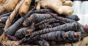 Mor havucun faydaları nelerdir?