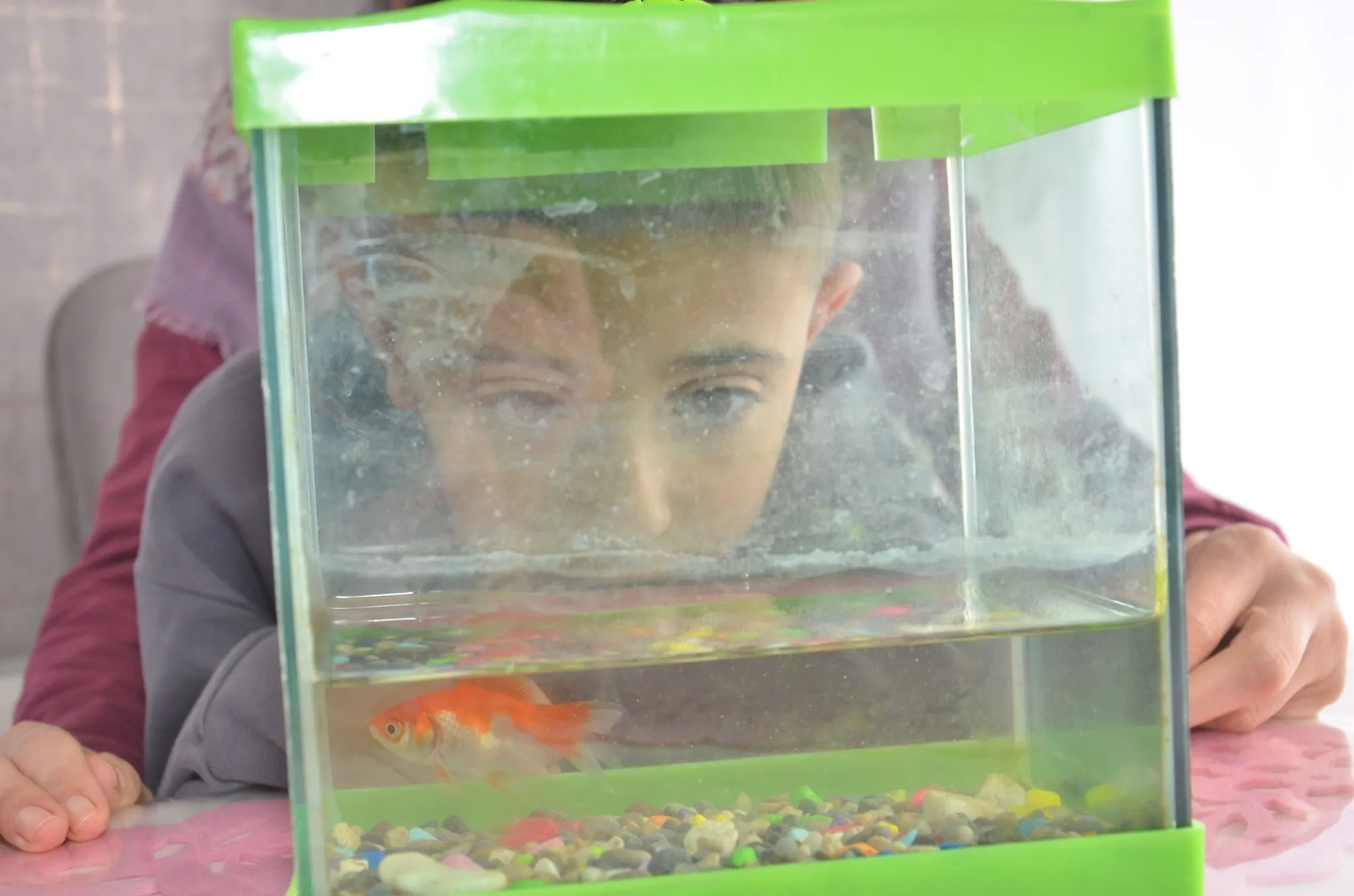 Depremden 3 ay sonra evlerine dönen aile şoke oldu: Bu bize Allah’ın hediyesi