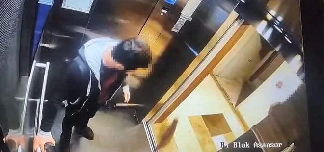 İbrahim Keloğlan son dakika | Kedi Eros'u katleden cani hakkında yeni gelişme! İbrahim Keloğlan tutuklandı mı?