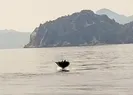 Türkiyede ilk kez görüldü