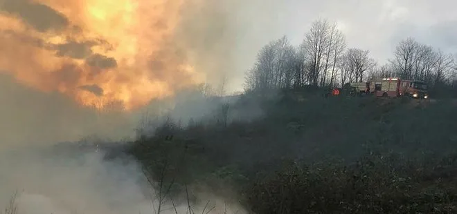 Tarım ve Orman Bakanı Bekir Pakdemirli Trabzon’a gidiyor! Örtü yangınları 5 ilçe ve 17 noktada devam ediyor