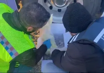Kars’ta peynir paketinden tarih fışkırdı