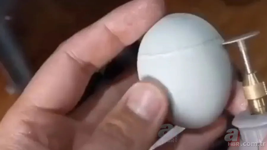 İşte civcivin yumurta içindeki gelişimi 🐣 İğne ile enjekte etti gün gün görüntüledi 🥚 3