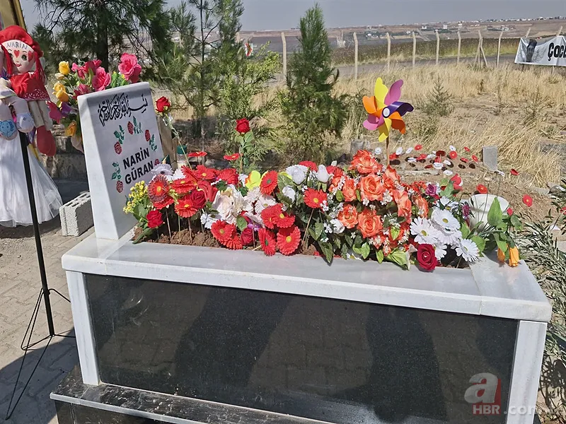 Narin neden öldürüldü? Narin Güran davasında kim ne kadar, kaç yıl ceza aldı? Ağabey, Anne, Amca, Nevzat Bahtiyar... 2