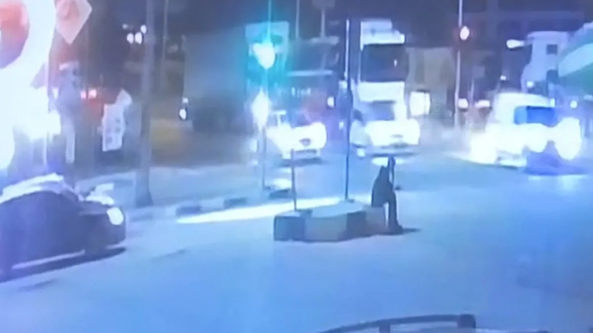 Yalova'da otomobil yayaya çarptı: 1 ölü