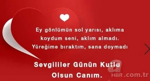 Sevgililer Günü hediyesi bayan için erkek için neler alınabilir? 14 şubat Sevgililer Günü hediye fikirleri 19