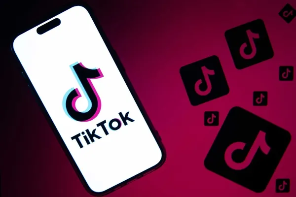 1708356952451.jpg AB'den TikTok'a resmi soruşturma! Tüm ahlaksızlıklar mercek altına alınacak - 6
