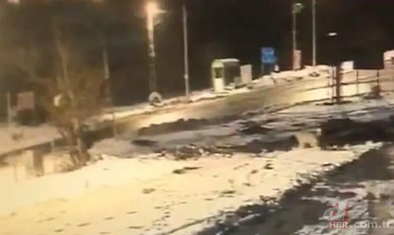 Kurt sürüsü köpeğe böyle saldırdı! Sahibi… 2