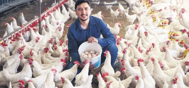 Mühendisliği bırakıp tavuk çiftliği kurdu