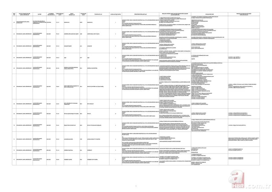 MSB’den ilkokul mezunu 1.829 kişiye istihdam kapısı! KPSS şartsız başvurular İŞKUR üzerinden alınacak 17