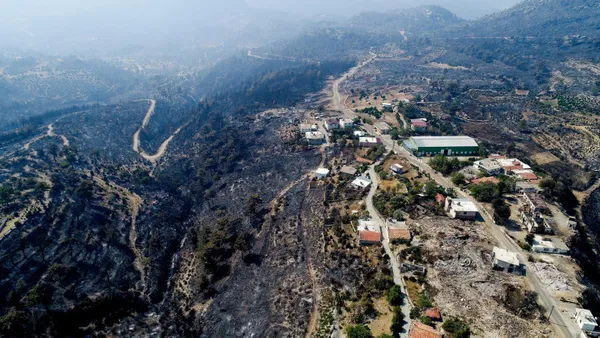 Manavgat'taki orman yangınında karar! 14 yaşındaki sanığa 7 yıl hapis - 3