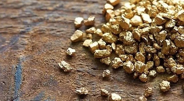 1674566162482.jpg Bilecik'te altın fışkırıyor! 6,5 milyar dolar değerindeki altın ekonomiye kazandırılacak - 1